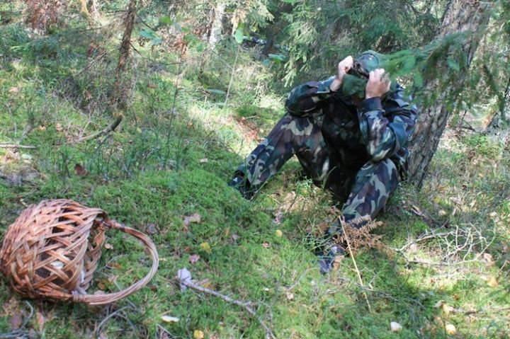 В Прокопьевском районе грибники теряются в лесу: полиция призывает соблюдать меры предосторожности