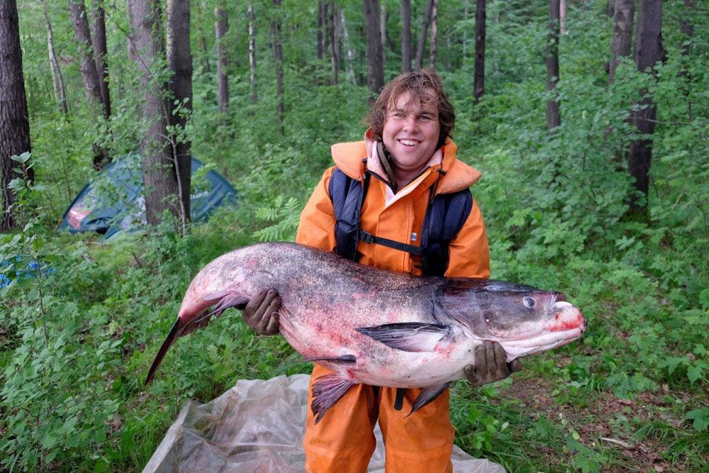 Мечта рыбака: на Урале поймали толстолобика-гиганта