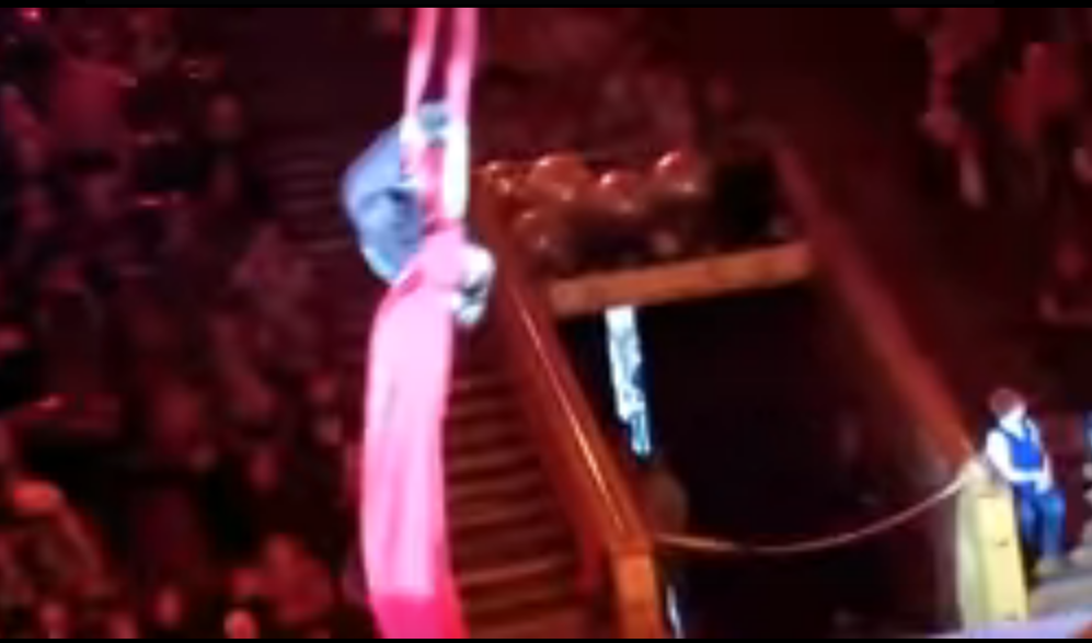 Падение воздушной гимнастки в новокузнецком цирке попало на видео