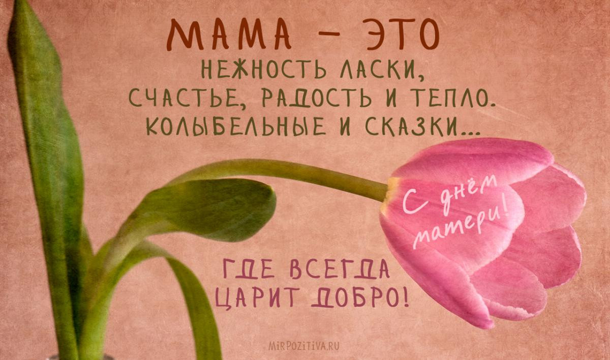 День Матери и что с ним связано: интересные факты Общество