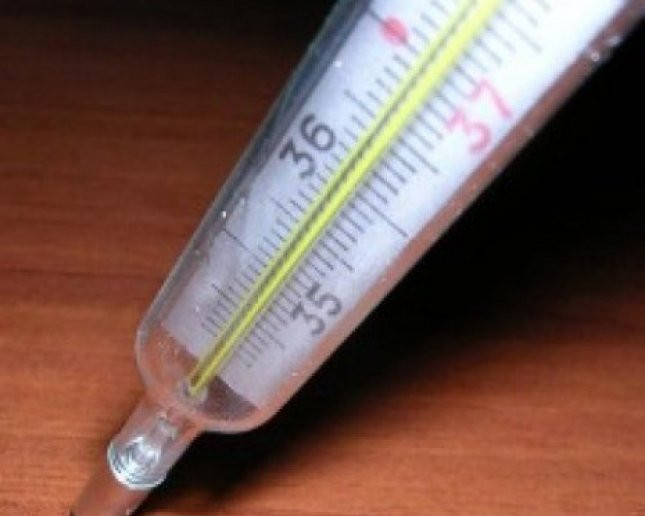 В школах Прокопьевска начали вводить карантин по гриппу