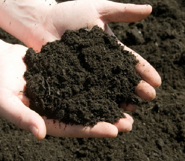 В Кузбассе организации накажут за загрязнение почвы