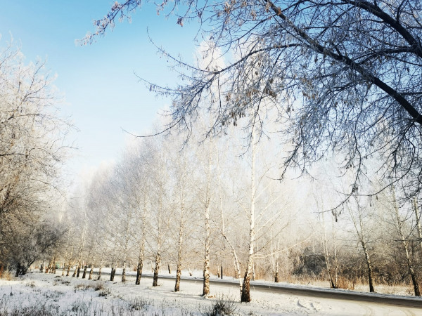 При какой температуре на улице можно в школу не ходить