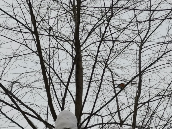 Синоптики о погоде на завтра