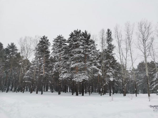 Прогноз погоды на завтра