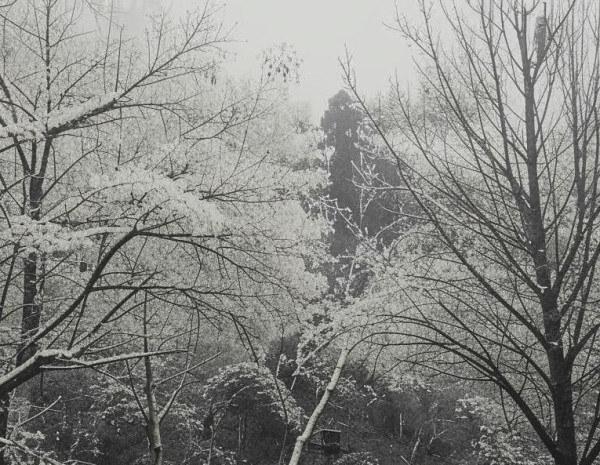 Во вторник в Прокопьевске ожидается потепление до +2 и дождь
