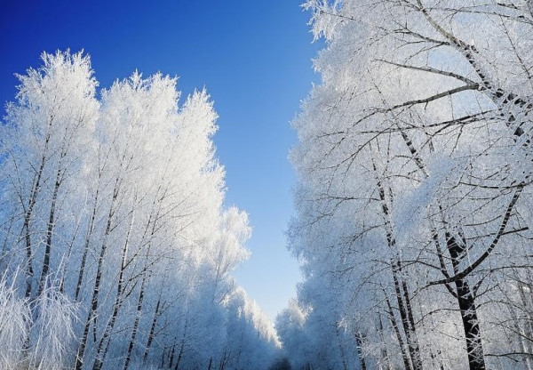 В пятницу в Прокопьевске будет морозно и малооблачно
