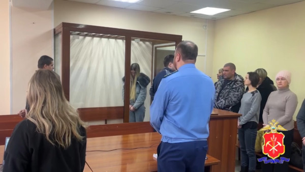 Виновницу ДТП, в котором двое человек серьезно пострадали, арестовали на 2 месяца