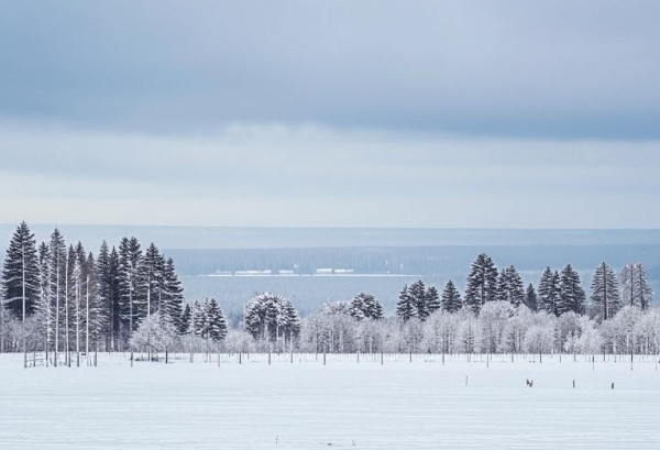 Пасмурная погода со стабильной температурой воздуха ожидается в Прокопьевске в среду