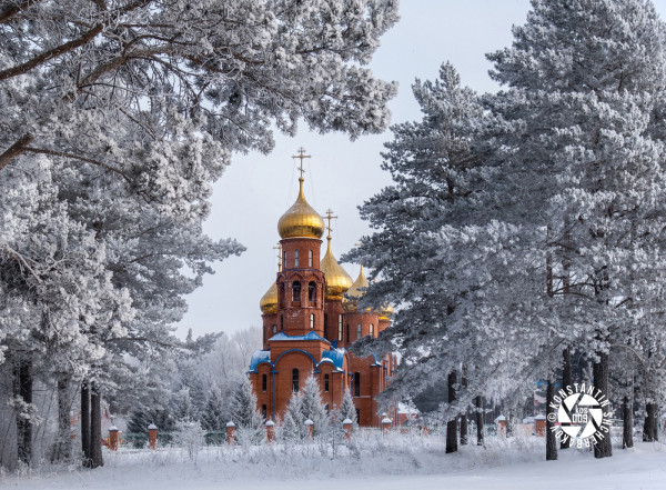 Работа прокопьевского фотографа попала в список лучших международного конкурса