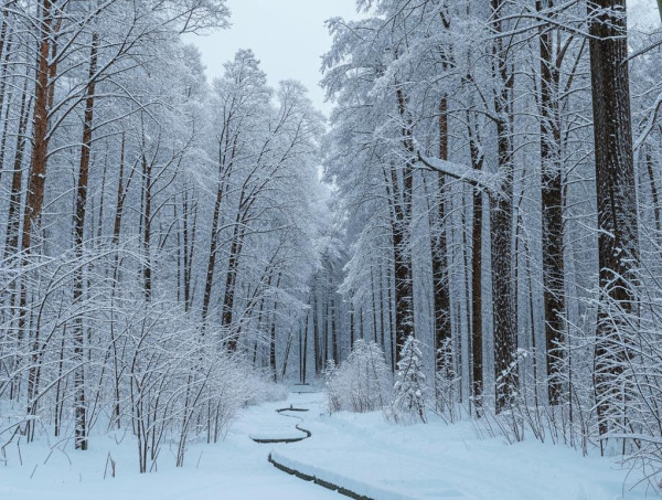 Хмурая погода без осадков ожидается в Прокопьевске в воскресенье