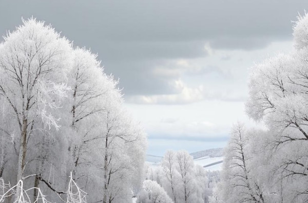 В праздничную субботу в Прокопьевске будет пасмурно, возможен снег
