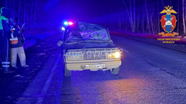 В Кузбассе ВАЗ столкнулся с лосем