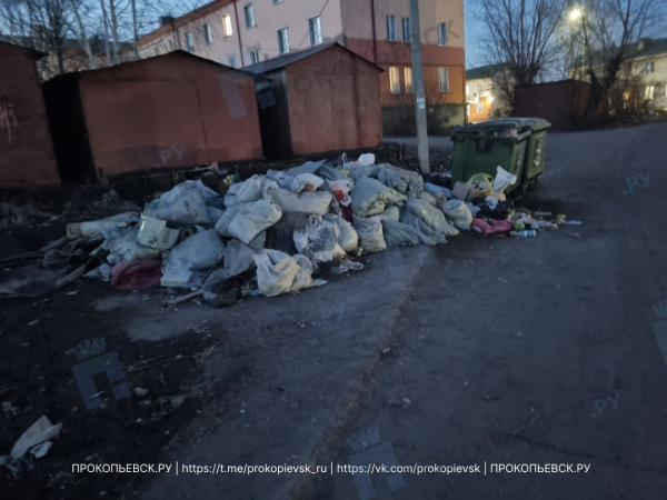 В Кузбассе в сфере обращения с отходами идёт цифровизация