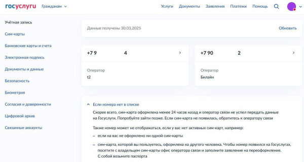 На Госуслугах заработал сервис проверки сим-карт