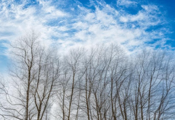 В среду в Прокопьевске малооблачно и тепло