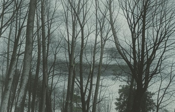 Облачно и прохладно будет в Прокопьевске в ближайший четверг