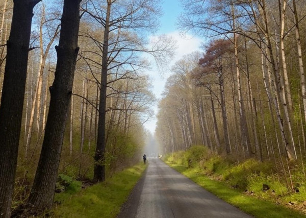 В субботу в Прокопьевск придёт летняя жара