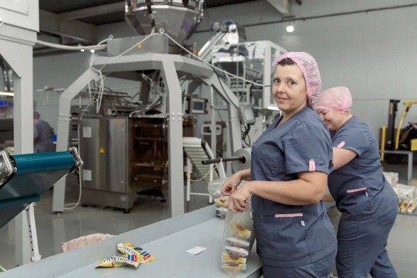 Кузбасские производители будут экспортировать семечки в Казахстан, а зерно в Индию и Китай