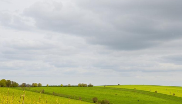В субботу похолодает, пройдут дожди