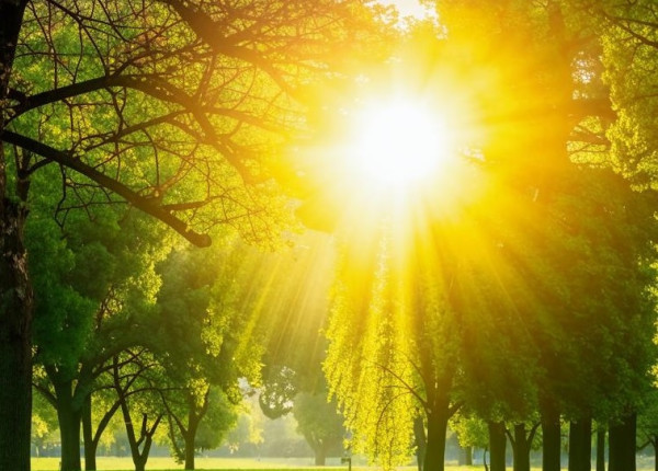 Летний зной ожидает прокопчан в ближайший четверг