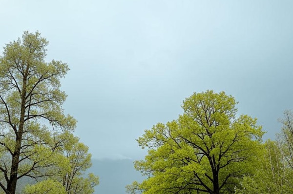 В субботу жара прекратится, небо затянут тучи, пройдут дожди