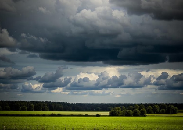 В воскресенье погода изменится на пасмурную, пройдут дожди и грозы