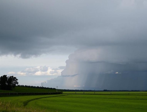 Неделя начнется с небольшого похолодания, возможны дожди