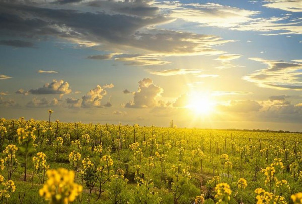 Во вторник в Прокопьевск вернётся летняя жара