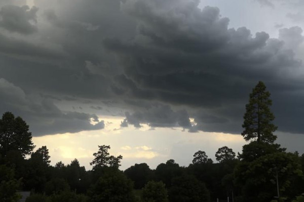 Суббота в Прокопьевске будет пасмурной, возможны дожди