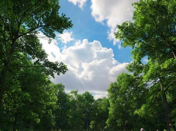 Пятница в Прокопьевске будет солнечной, заметно потеплеет