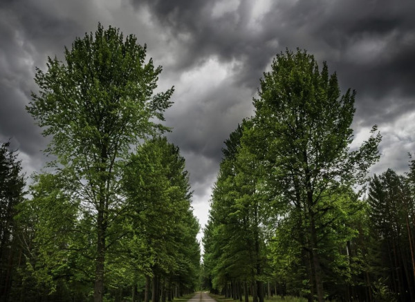 В субботу в Прокопьевске будет жарко, но возможны дожди