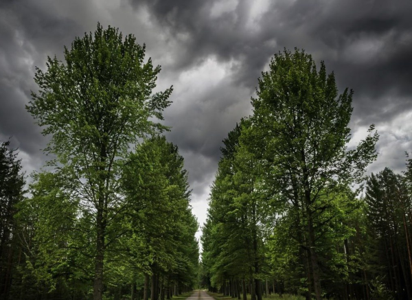 На Иван Купала Прокопьевск зальет дождями
