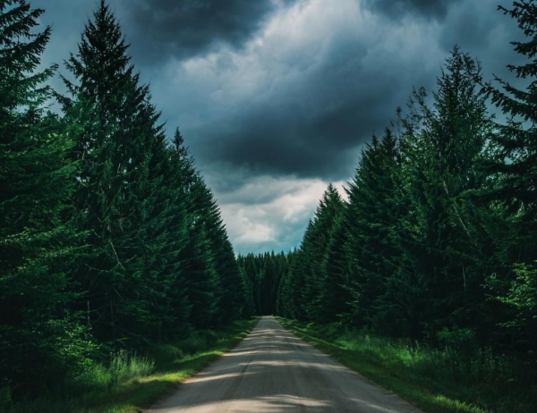 Пасмурно и прохладно будет в Прокопьевске в среду