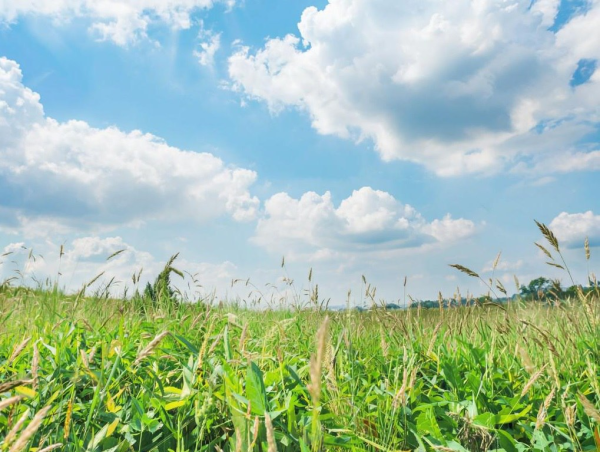 В четверг в Прокопьевске будет облачно, значительно потеплеет