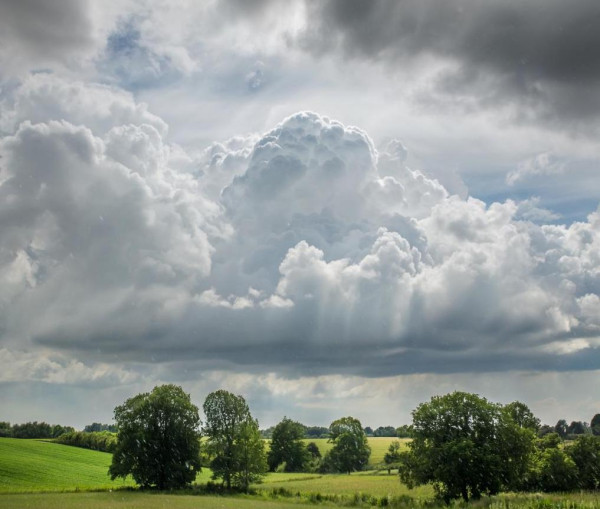 Не жарко, пасмурно и дождливо будет в Прокопьевске в воскресенье