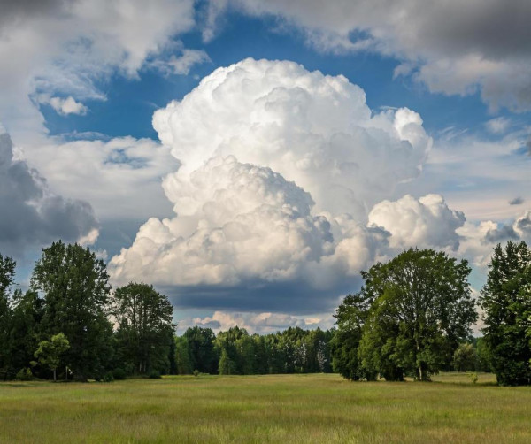 Понедельник в Прокопьевске будет пасмурным, дождливым и прохладным