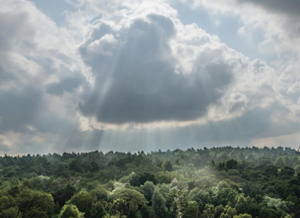 В субботу в Прокопьевске будет душно и пасмурно, возможны дожди и грозы