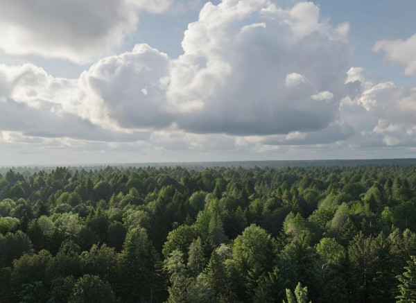 В воскресенье довольно резко и значительно похолодает