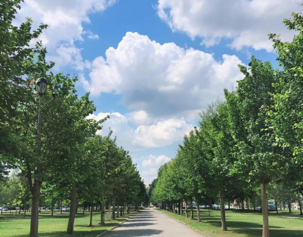 В понедельник дожди и грозы прекратятся, придёт похолодание