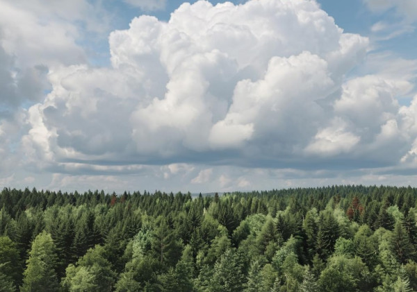 В Прокопьевске в среду погода значительно не изменится: пасмурно и прохладно