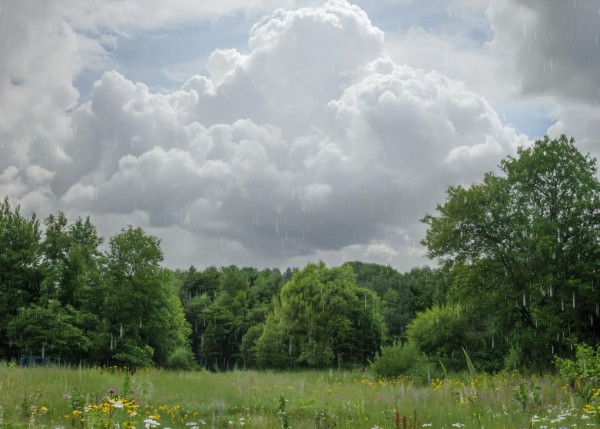 Пасмурная погода с дождями сохранится в Прокопьевске и в четверг