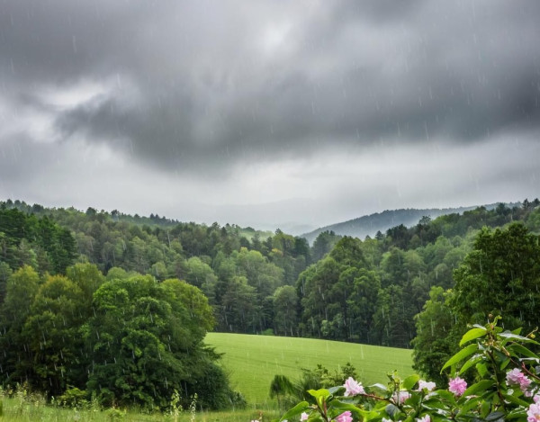 В пятницу в Прокопьевске всё ещё пасмурно, но уже теплее