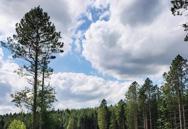 В понедельник немного потеплеет, дожди сохранятся