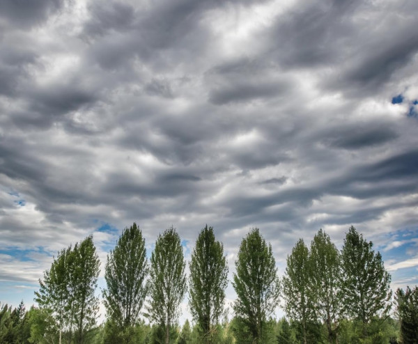 Во вторник без сюрпризов - пасмурно, возможны дожди Во вторник без сюрпризов - пасмурно, возможны дожди