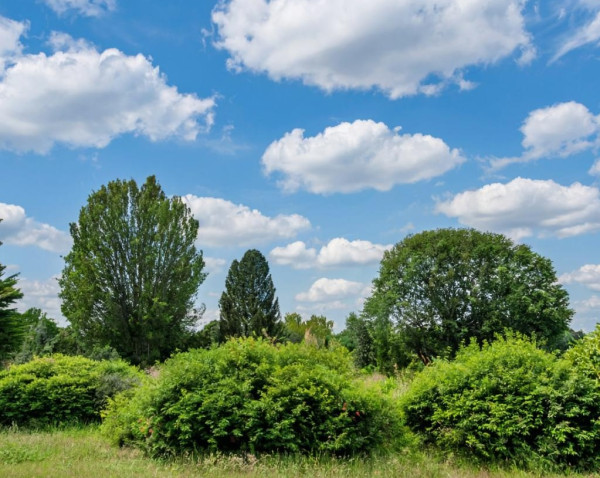 В среду облачная погода с дождями сменится на ясную, солнечную В среду облачная погода с дождями сменится на ясную, солнечную