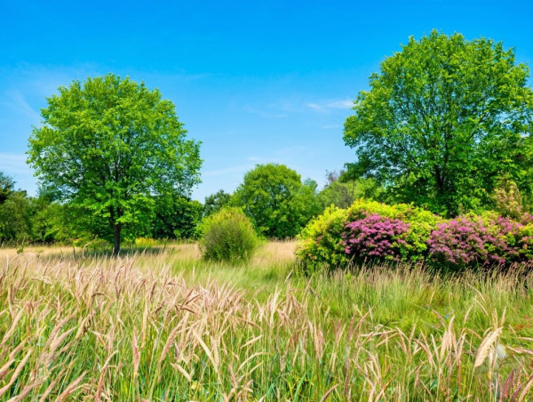 В пятницу в Прокопьевске будет малооблачно и жарко В пятницу в Прокопьевске будет малооблачно и жарко