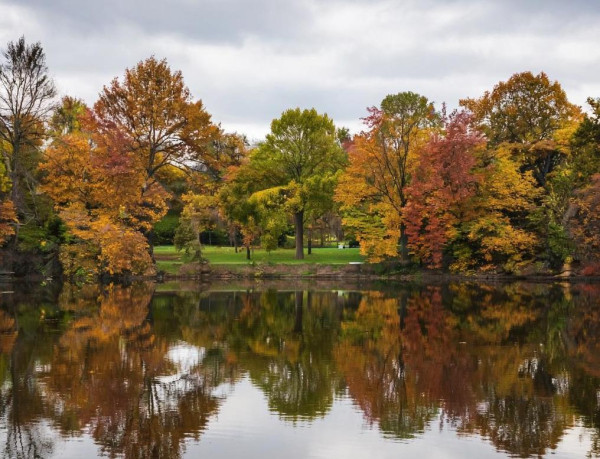В Кузбасс на неделю придёт бабье лето