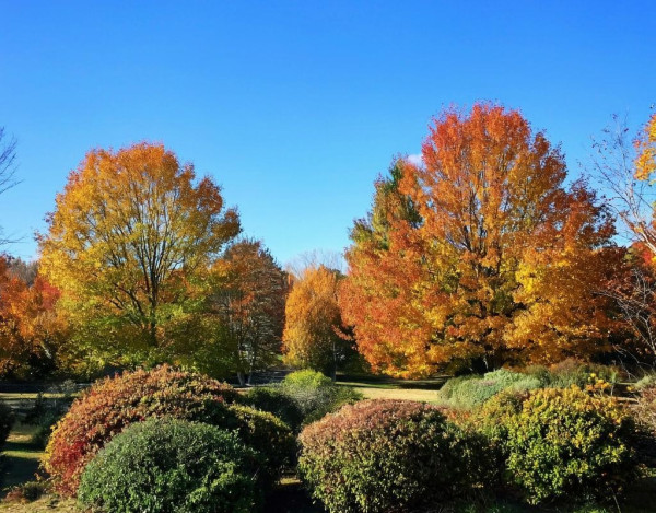 Практически летняя жара придёт в Кузбасс