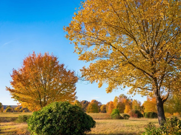 В Кузбассе ожидаются температурные качели от -3 до +22